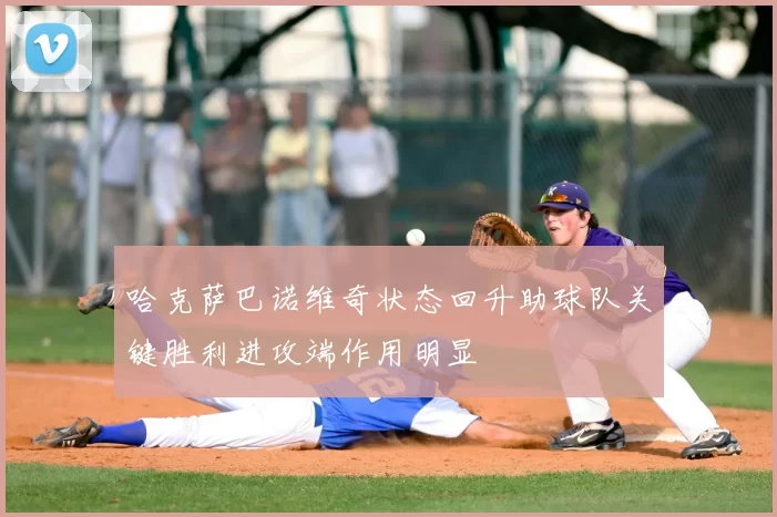 哈克萨巴诺维奇状态回升助球队关键胜利进攻端作用明显