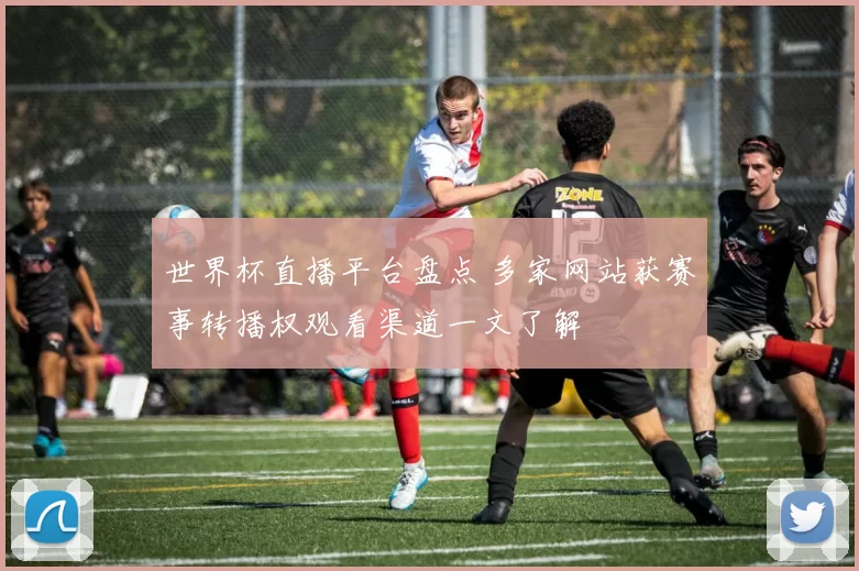 世界杯直播平台盘点 多家网站获赛事转播权观看渠道一文了解